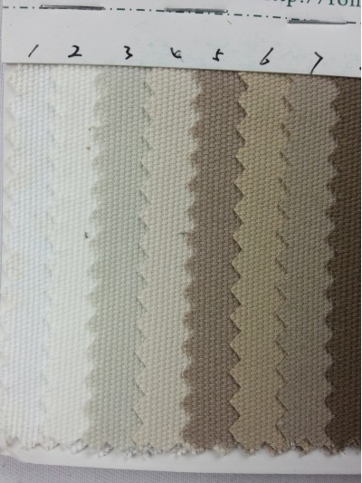 DG-RGFA  全棉馬丁磨毛 側面照